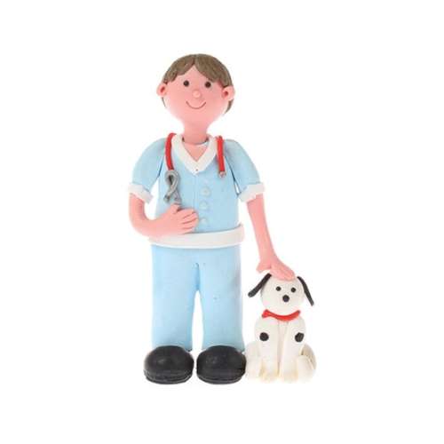 Claydough Vet Cake Topper - Click Image to Close